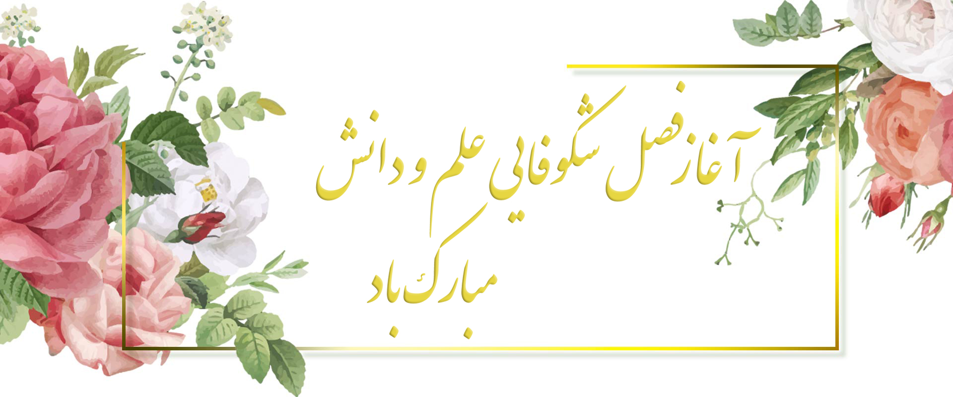 پیام تبریک رئیس آموزش عالی آرمان رضوی بمناسبت آغاز سال تحصیلی